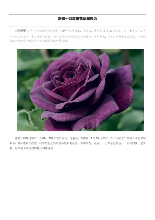 路易十四玫瑰花语和传说