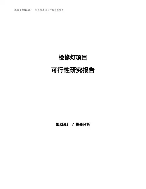 (word可编辑)检修灯项目可行性研究报告模板
