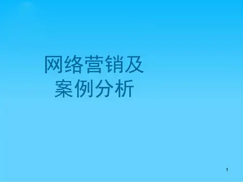 网络营销及案例分析(ppt 26页)