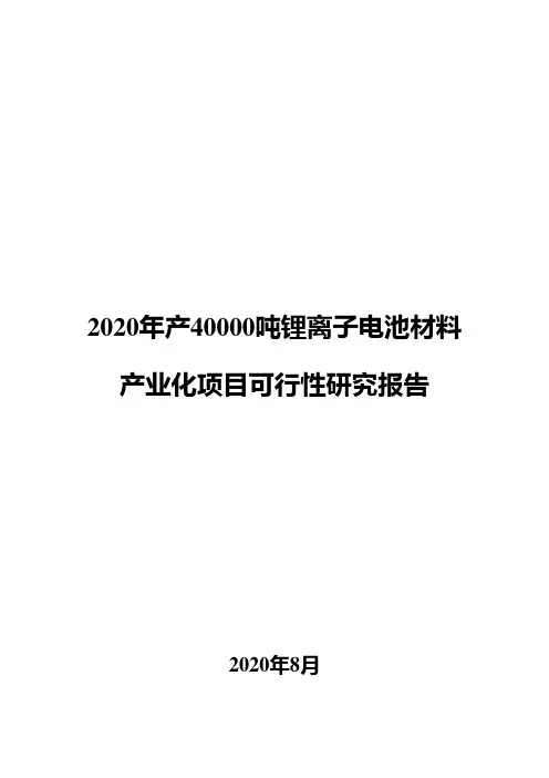 2020年产40000吨锂离子电池材料产业化项目可行性研究报告