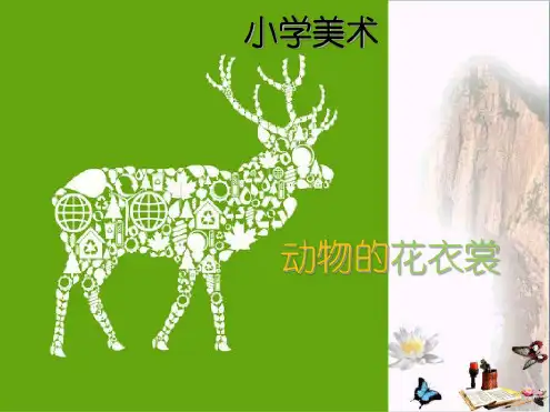 三年级美术下册第11课《动物的花衣裳》优秀课件1人教版