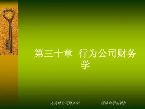 公司财务学30