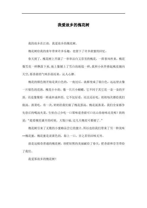 我爱故乡的槐花树-袁思雅