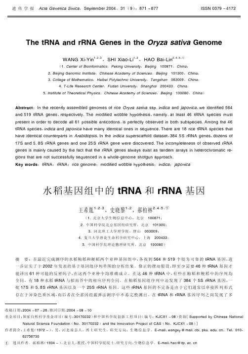 水稻基因组中的tRNA和rRNA基因