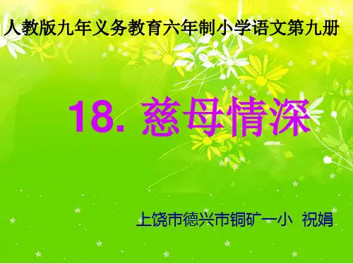 五年级语文上册第六组18.慈母情深第一课时课件