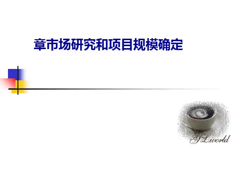 市场研究和项目规模确定