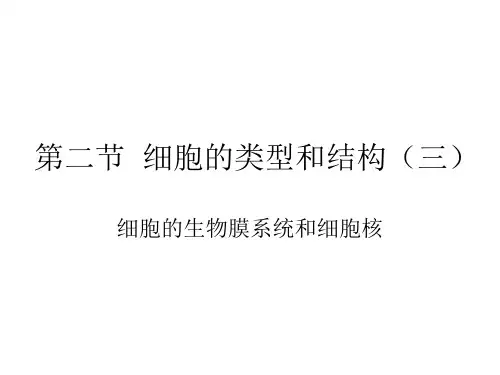 第二节细胞的类型和结构三ppt课件
