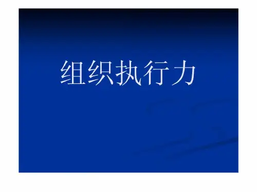《组织执行力》课件