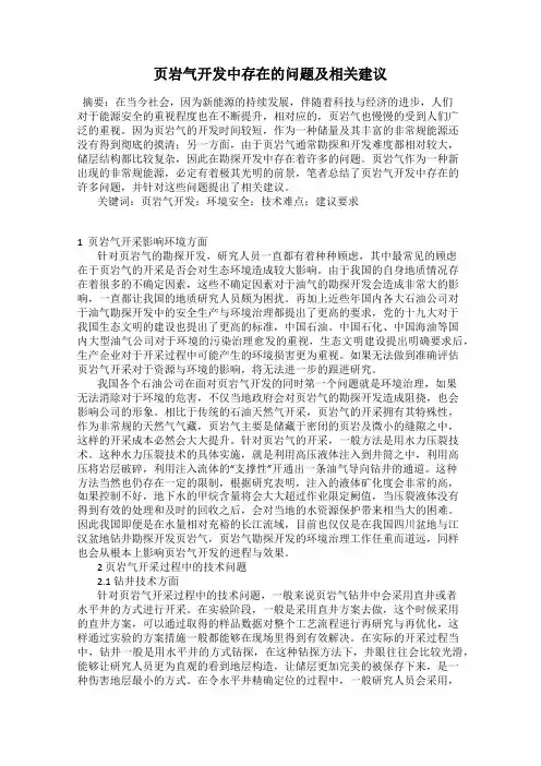 页岩气开发中存在的问题及相关建议