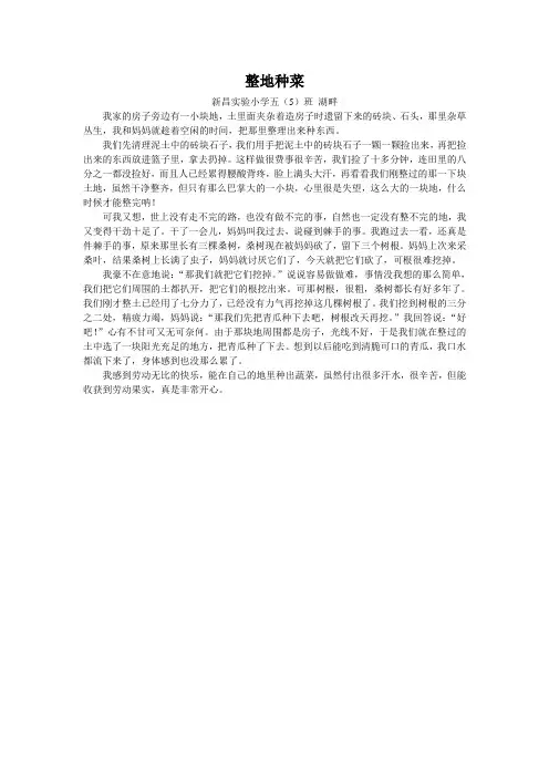 整地种菜