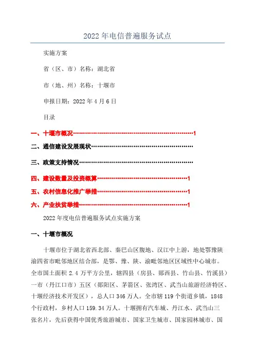 2022年电信普遍服务试点
