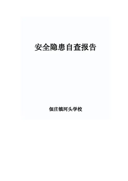 安全隐患自查报告