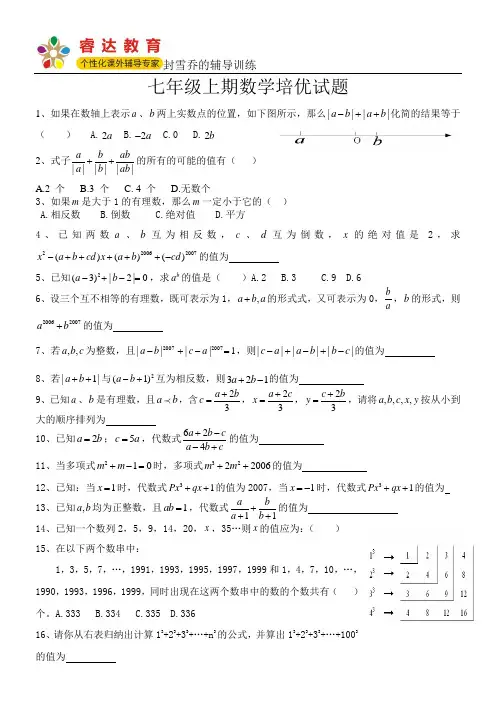 七年级上期数学培优试题