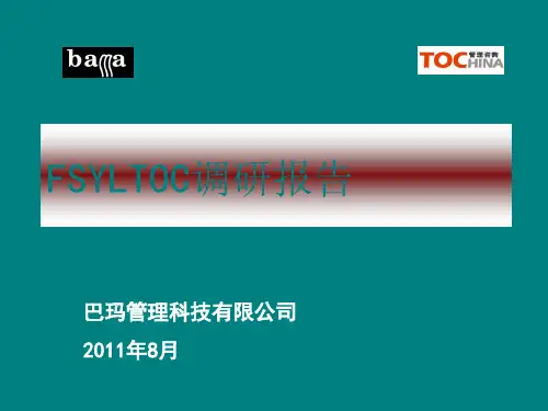 FS企业管理咨询调研报告