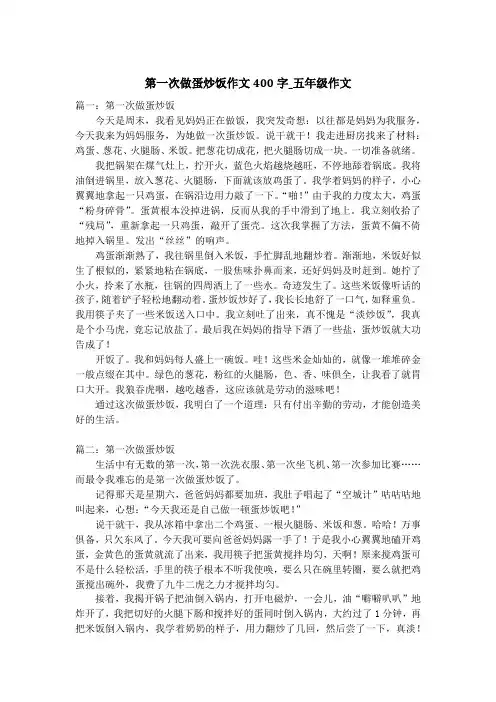 第一次做蛋炒饭作文400字_五年级作文
