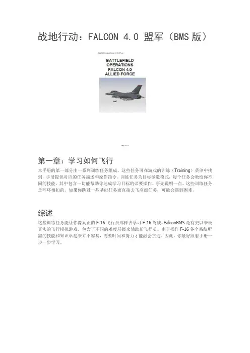 战地行动：FALCON 4.0 盟军(BMS版)一