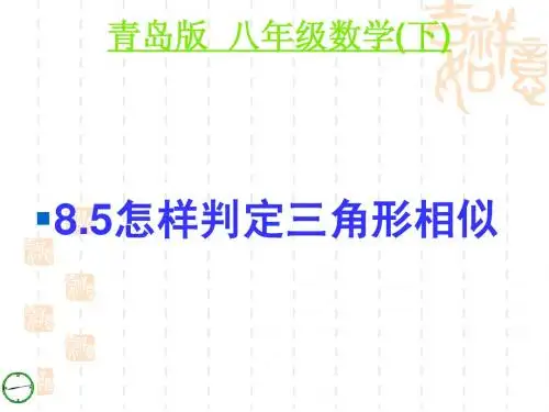 相似三角形的判定