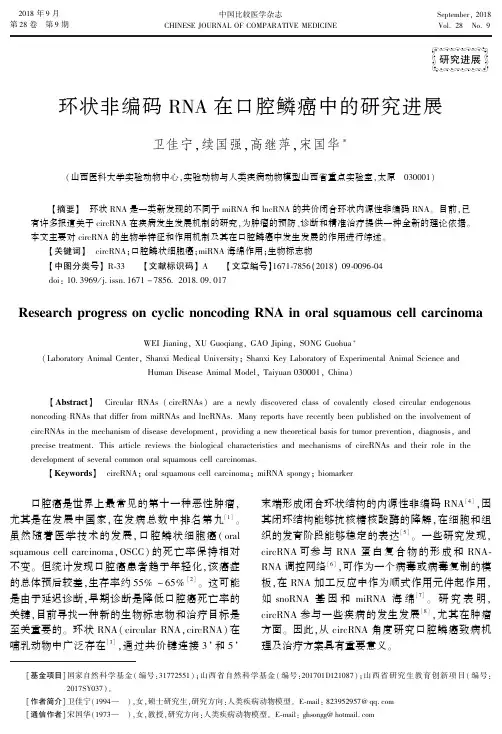 环状非编码RNA在口腔鳞癌中的研究进展