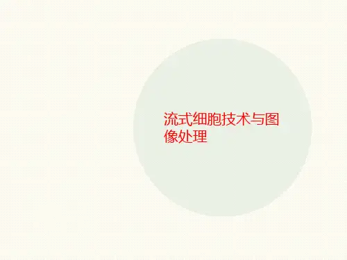 流式细胞技术讲义与图像处理
