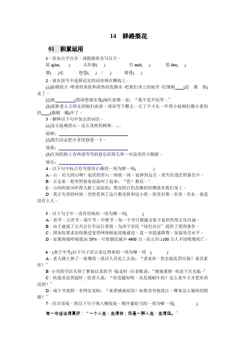 《驿路梨花》同步练习 2022年部编版七下语文