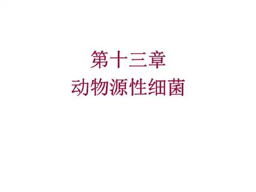 第章动物源性细菌YH