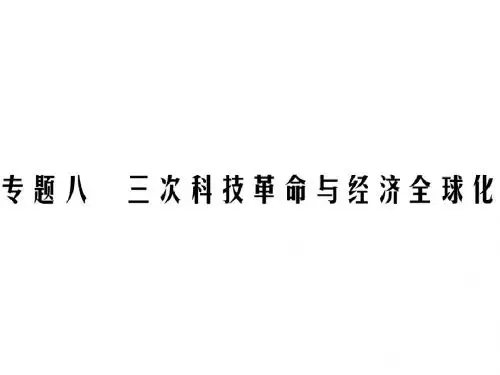 中考历史总复习专题八三次科技革命与经济全球化课件