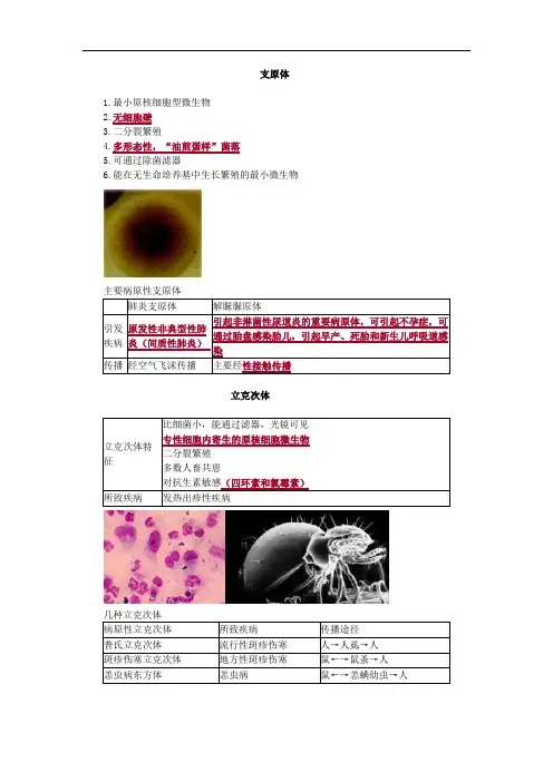 支原体、依原体、螺旋体