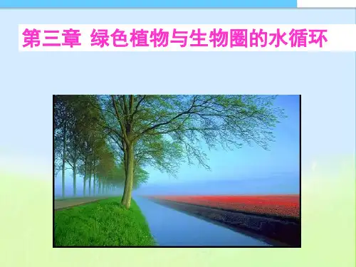 最新人教版初中初一七年级生物上册人教版七年级生物绿色植物与生物圈的水循环精品课件