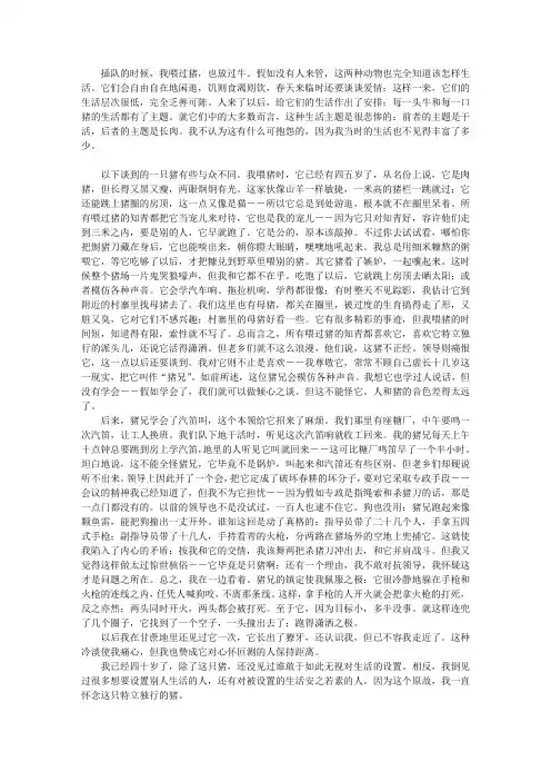 一只特立独行的猪 3