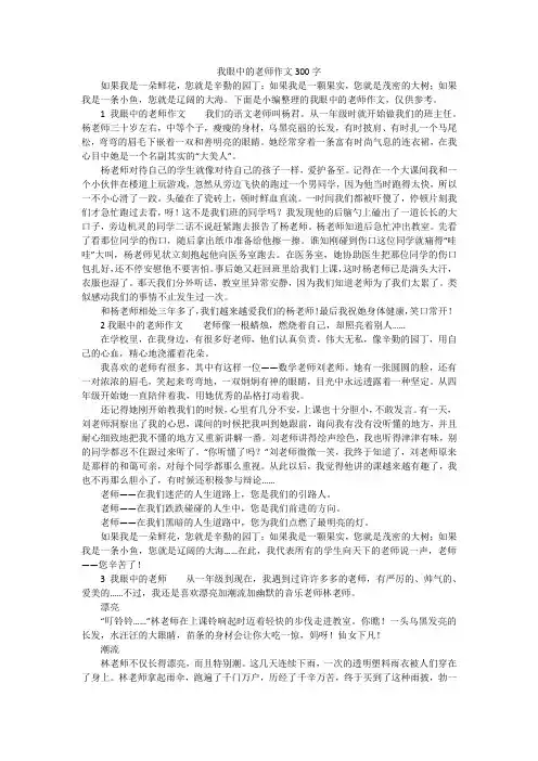 我眼中的老师作文300字
