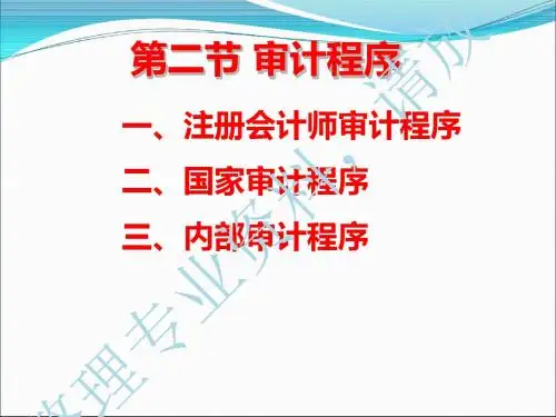 第二节审计程序