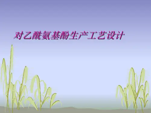 对乙酰氨基酚生产1-文档资料