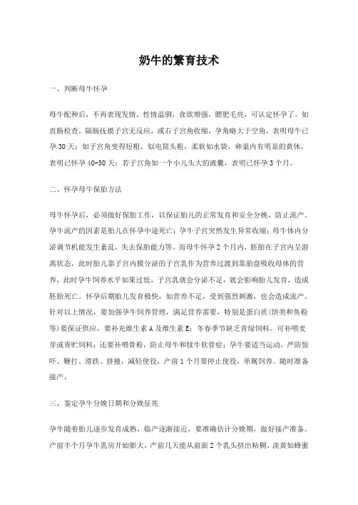奶牛的繁育技术