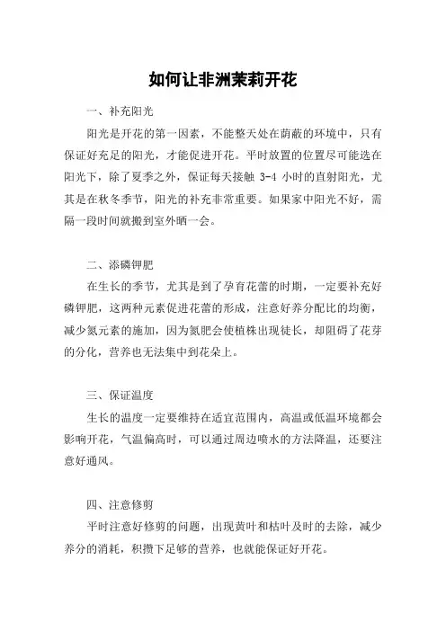 如何让非洲茉莉开花