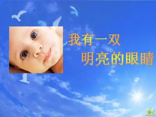 主题班会PPT 我有一双明亮的眼睛