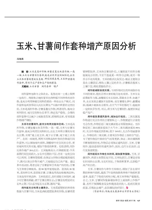 玉米、甘薯间作套种增产原因分析