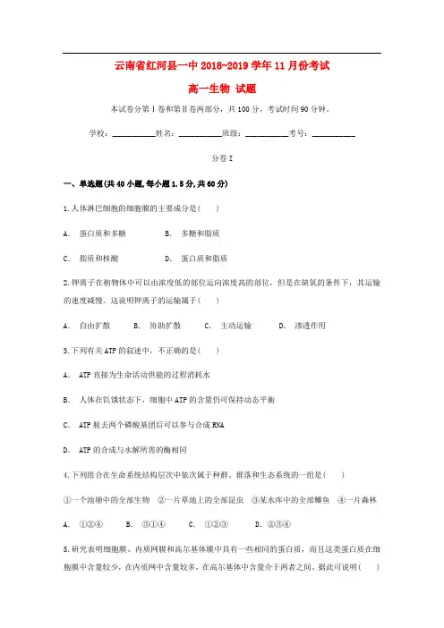 云南省红河县第一中学2018_2019学年高一生物11月月考试题2