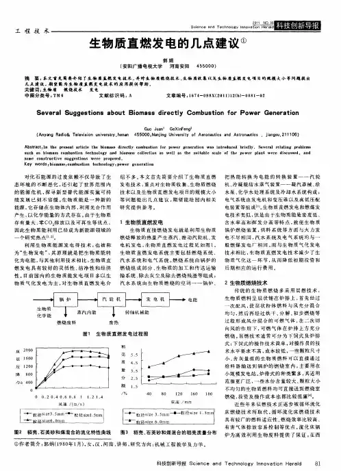 生物质直燃发电的几点建议