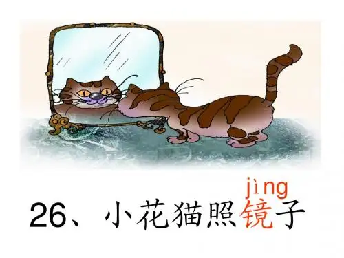 26.小花猫照镜子