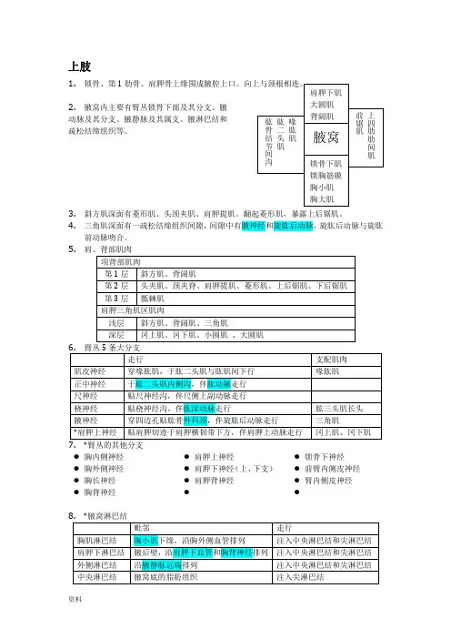 局部解剖学笔记整理