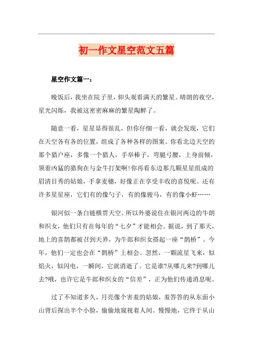初一作文星空范文五篇