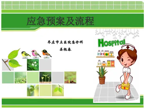 应急预案及流程