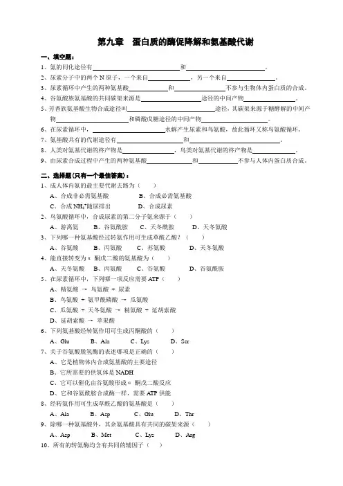 蛋白质的酶促降解和氨基酸代谢