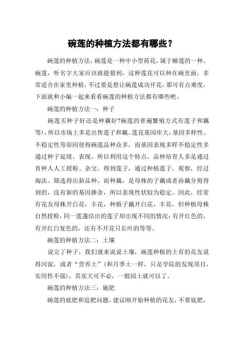 碗莲的种植方法都有哪些？