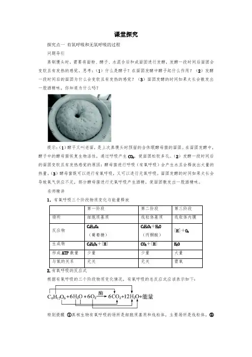 人教版高中生物必修二2有氧呼吸和无氧呼吸的过程