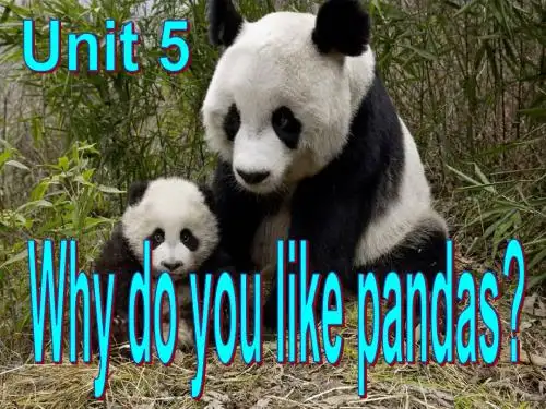 英语学习:learn animals