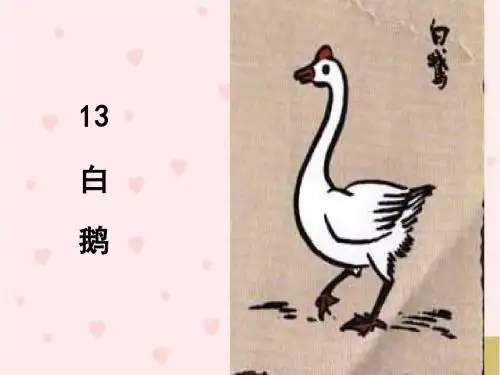 13.白鹅