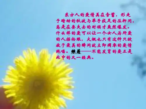 电影《雏菊》影评