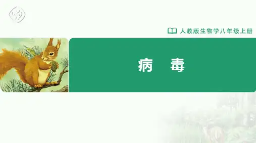 八年级-人教版-生物-上册-第五章 病毒