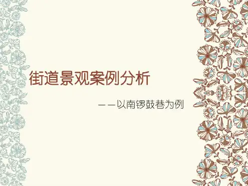 街道景观案例分析复习过程